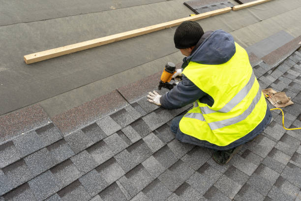 Best Metal Roofing Contractor  in Springville, IA