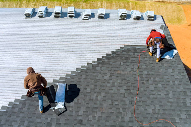 Best Roof Leak Repair  in Springville, IA