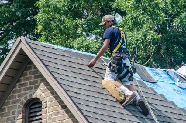 Best Best Roofing Contractors  in Springville, IA